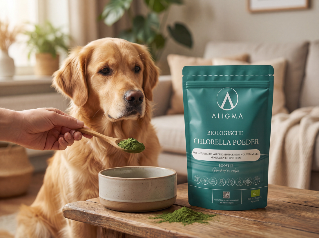 Natuurlijke supplementen voor honden en katten: praktische tips