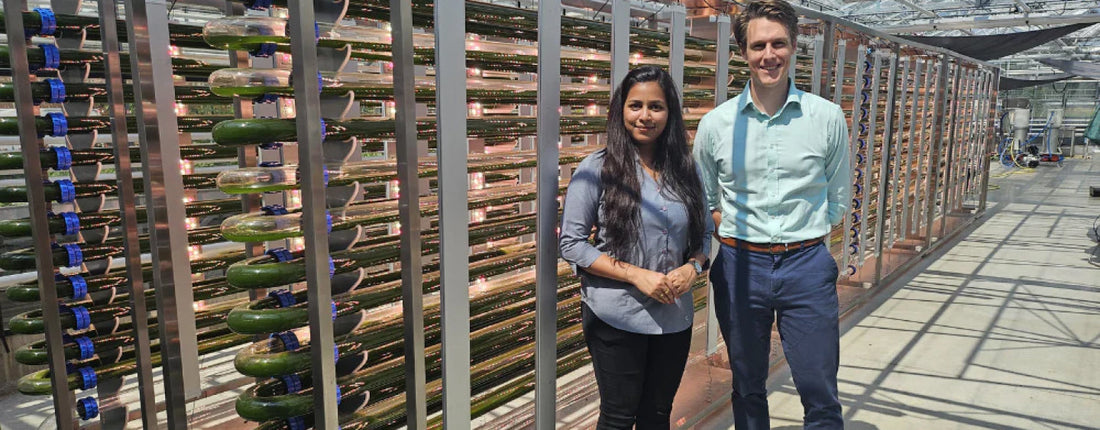 Wageningen Universiteit Duurzaam Algenonderzoek Aligma