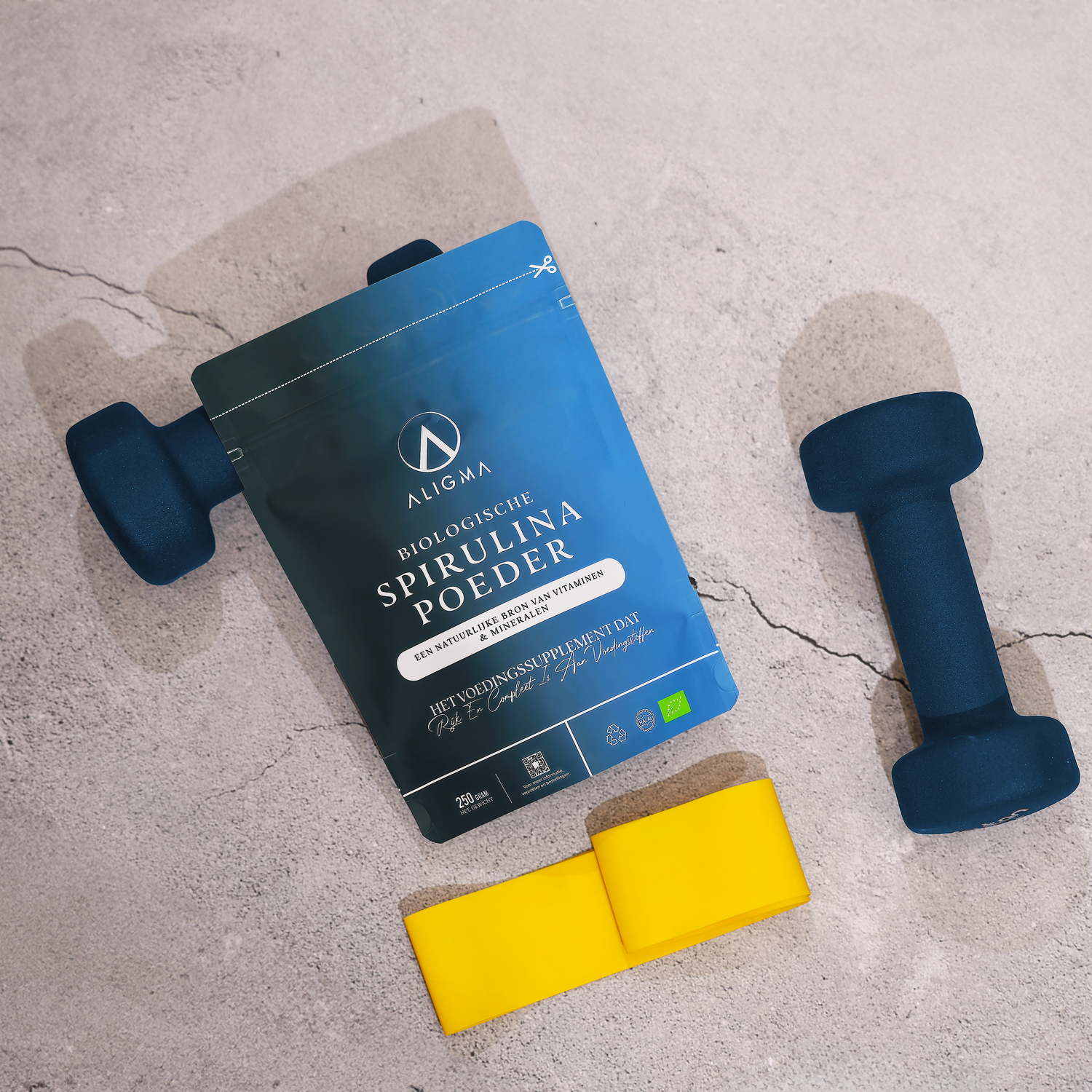 powder gym dutch.png__PID:3ef4996a-6d41-458f-8d18-c99c11201ddf